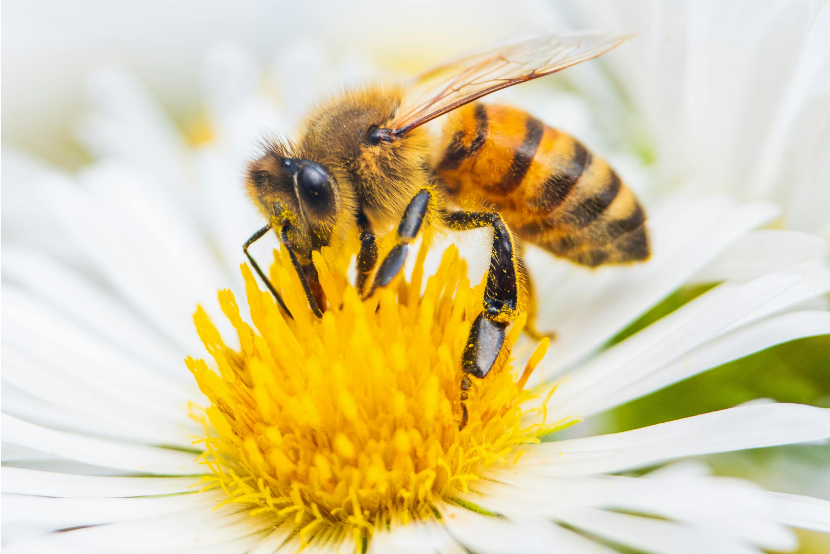 Kein Titel (1920 x 1920 px) (4)